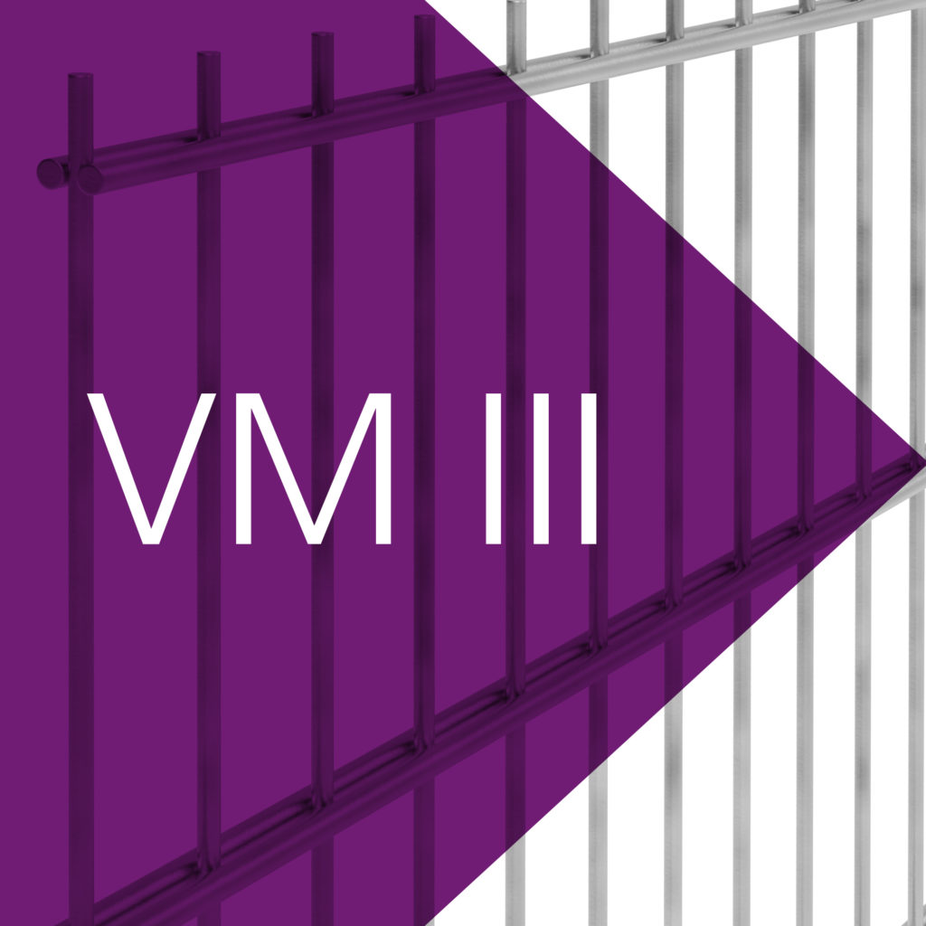 VM III