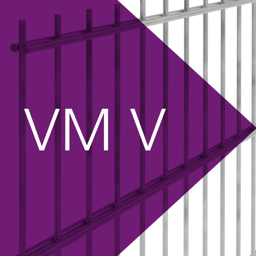 VM V